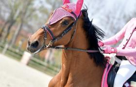 5cb024d9-9be1-437f-a193-52125291ac2b.jpeg