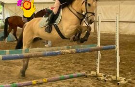 IMG_5537.jpeg