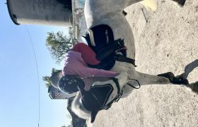 IMG_8485.jpeg