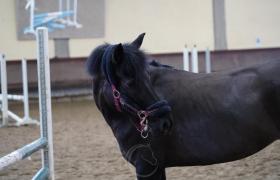568d6327-2e5e-4e5b-a782-082ead34662c.jpeg