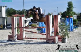 ISATIS DE COQUERIE