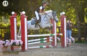 RIDGECROSS SILVER