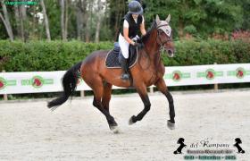 IMG_2461.JPG