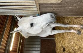 IMG_5724.jpeg