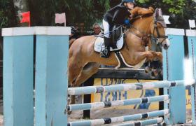 IMG_20260412_171852.jpg
