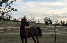 IMG_20260514_143617.jpg