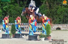 IMG_6680.jpeg
