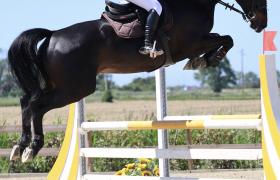 IMG_1416.jpeg