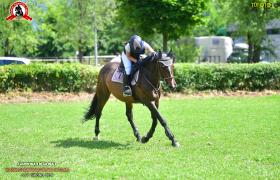CECILE 25