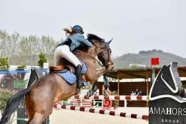 Cavalieri Equiresults