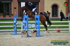 FILE_8HT_5201.jpg