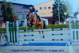 IMG_4092.jpeg
