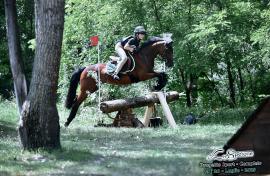 IMG_2009.jpeg