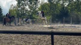 IMG_2032.jpeg