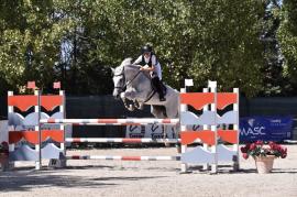 ALESSANDRO SPORTELLI