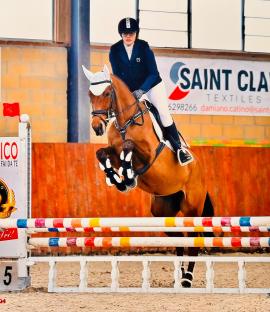 Saturnia tagliata.JPEG