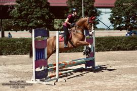 IMG_8814.jpeg