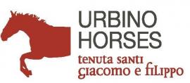 urbino-horses.jpg