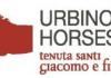urbino horse trial.jpeg